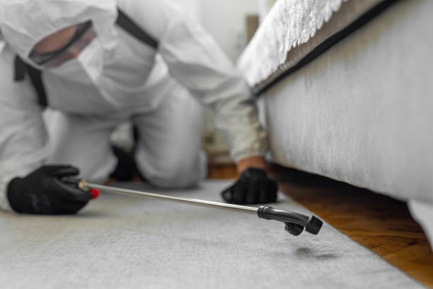 Professional Termite Control technician working in Bayport, MN